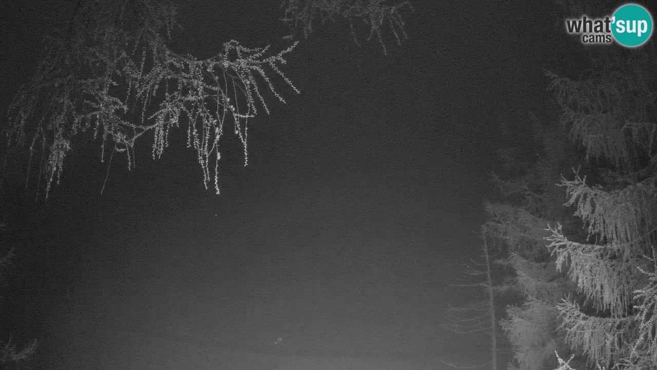 Live Webcam Vršič – Haus Erjavčeva – Slowenien