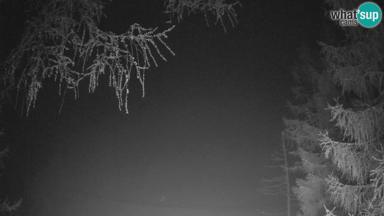 Live webcam Vršič – Erjavčeva house – Slovenia