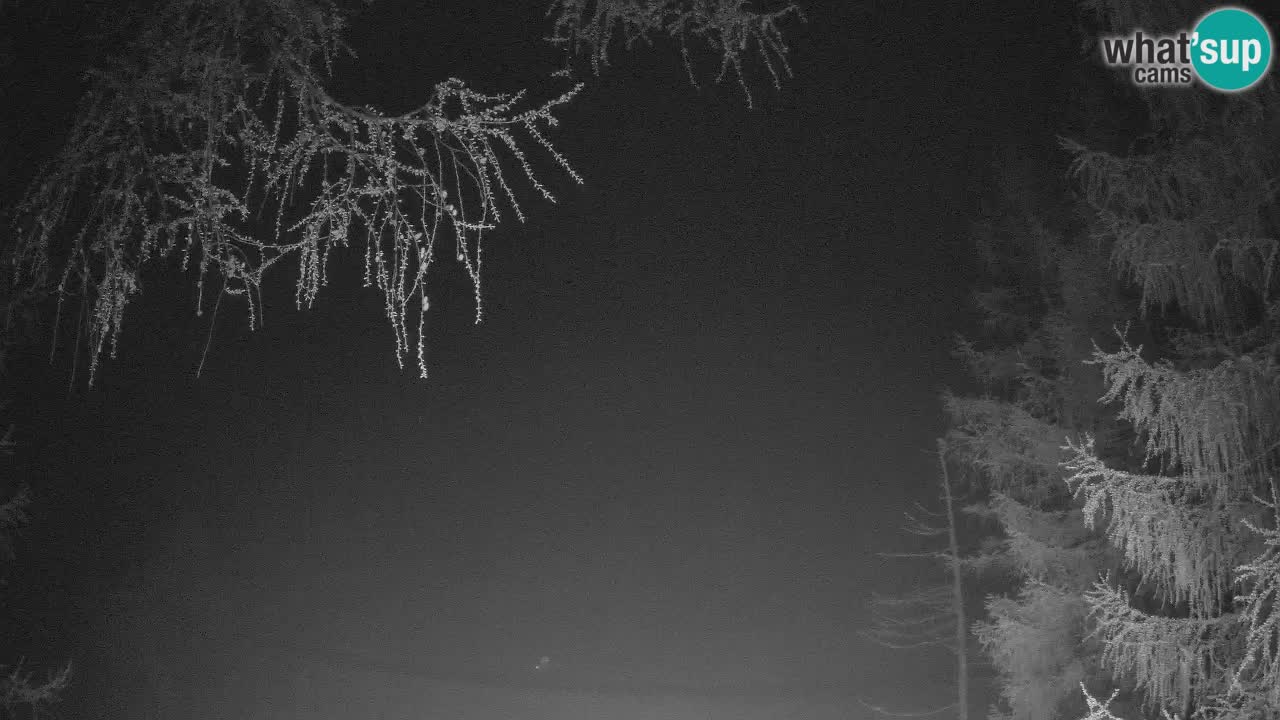 Spletna Kamera Vršič – Erjavčeva hiša – Slovenija