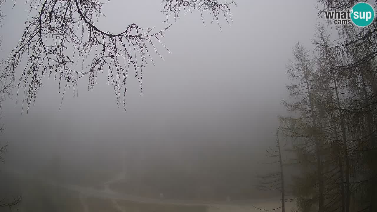 Live webcam Vršič – Baita di montagna Erjavčeva – Slovenia