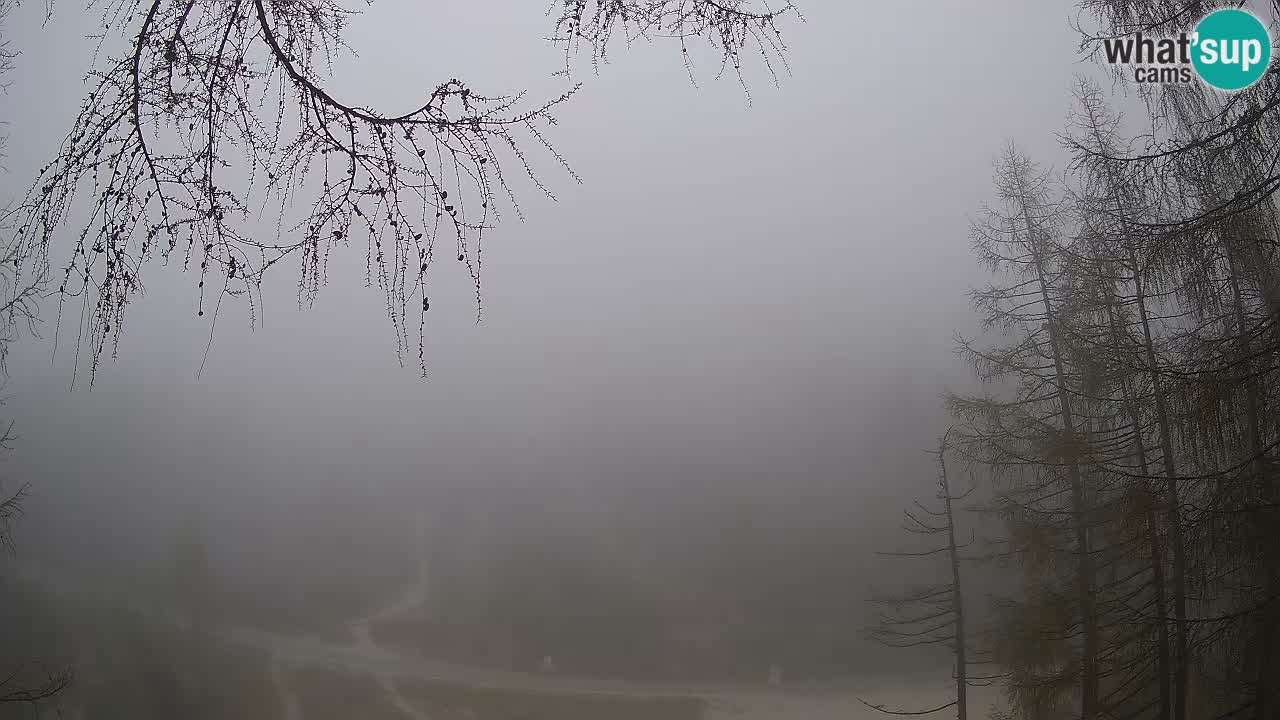 Cámara web en vivo Vršič – Casa Erjavčeva – Eslovenia