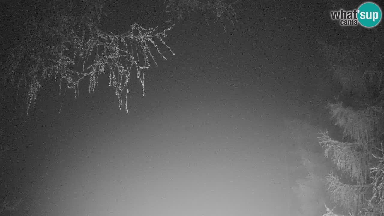 Live webcam Vršič – Baita di montagna Erjavčeva – Slovenia