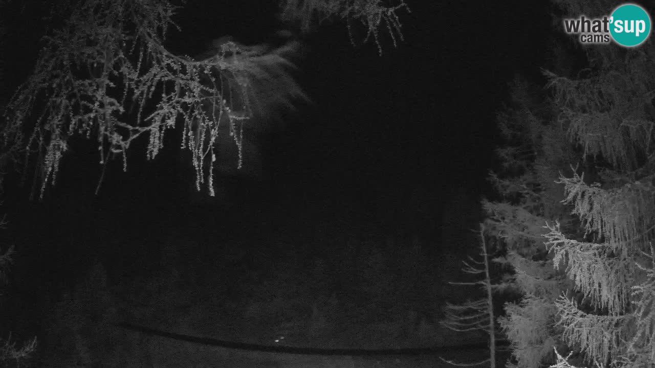 Cámara web en vivo Vršič – Casa Erjavčeva – Eslovenia