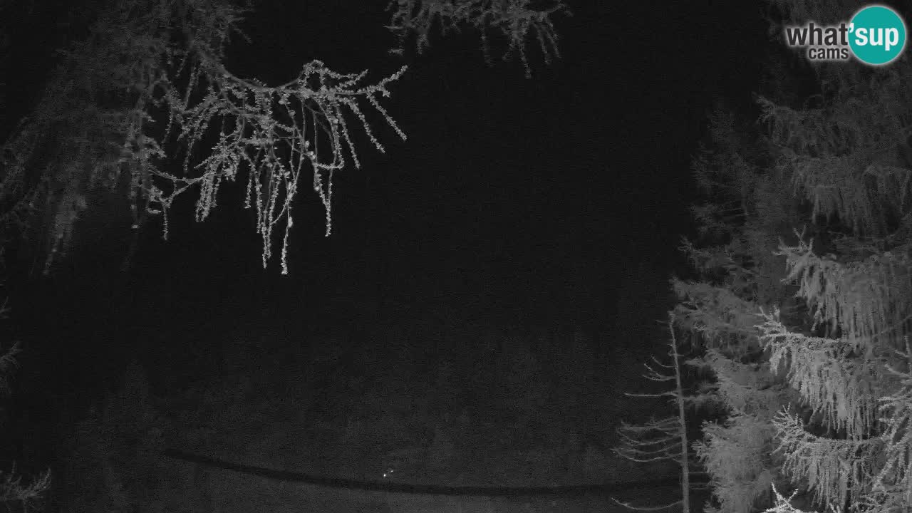 Webcam en direct Vršič – Maison Erjavčeva – Slovénie