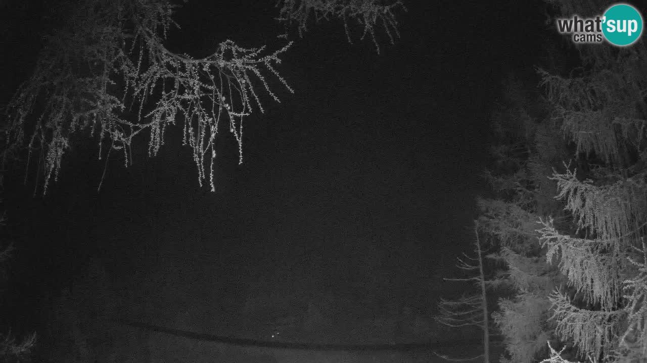 Live Webcam Vršič – Haus Erjavčeva – Slowenien