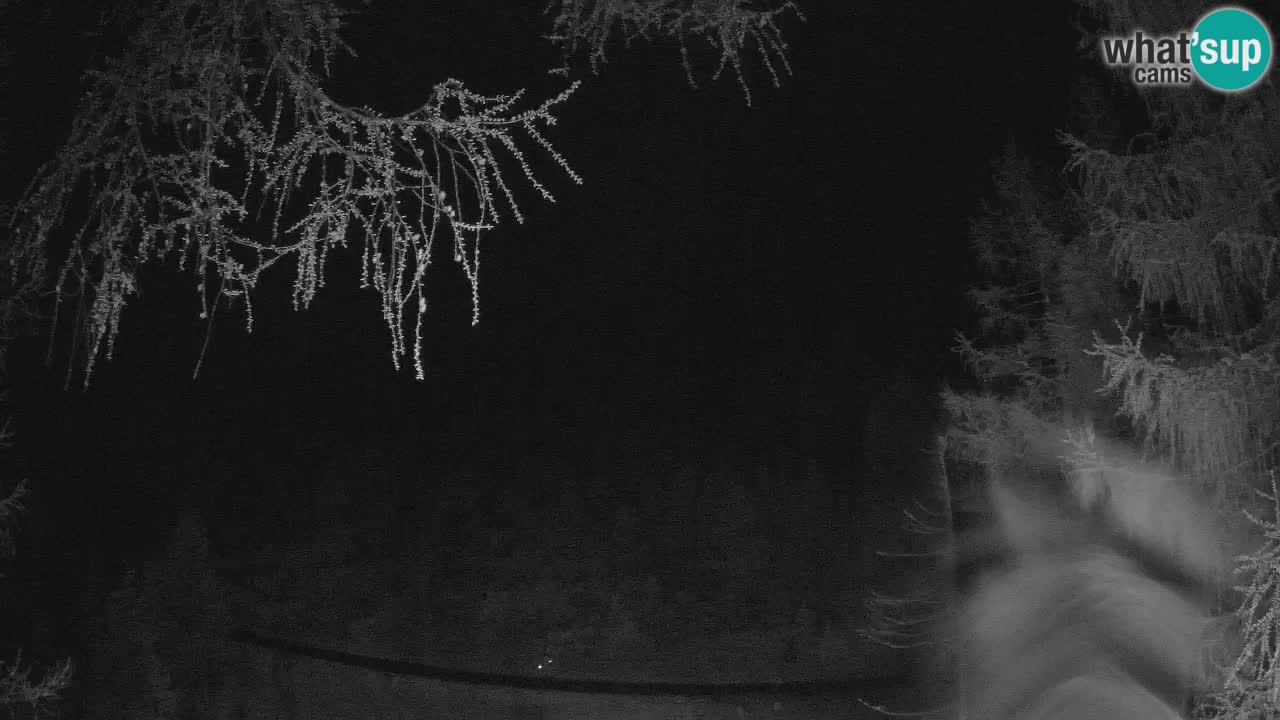 Spletna Kamera Vršič – Erjavčeva hiša – Slovenija