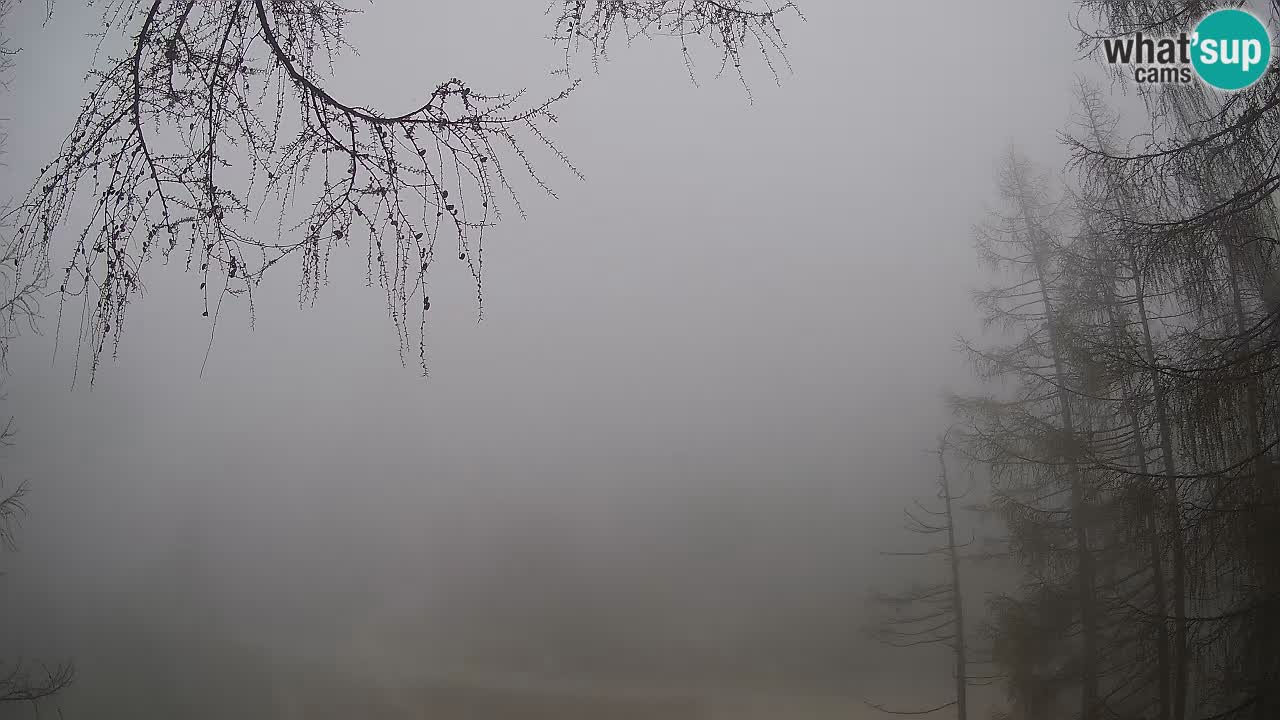 Live webcam Vršič – Baita di montagna Erjavčeva – Slovenia