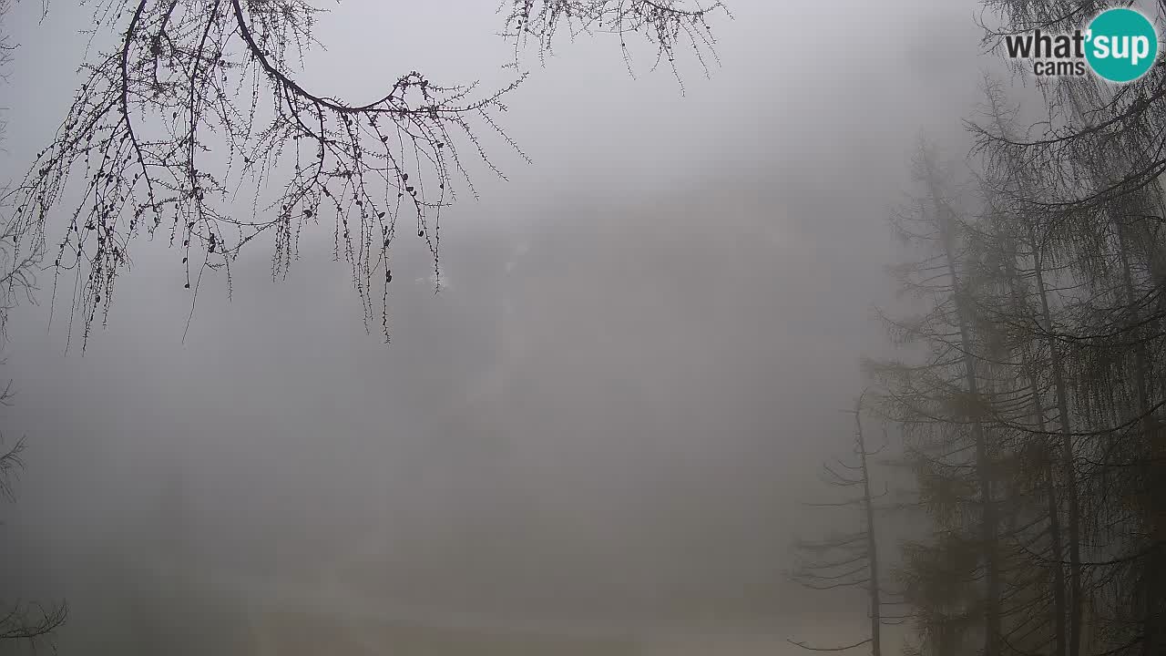 Spletna Kamera Vršič – Erjavčeva hiša – Slovenija
