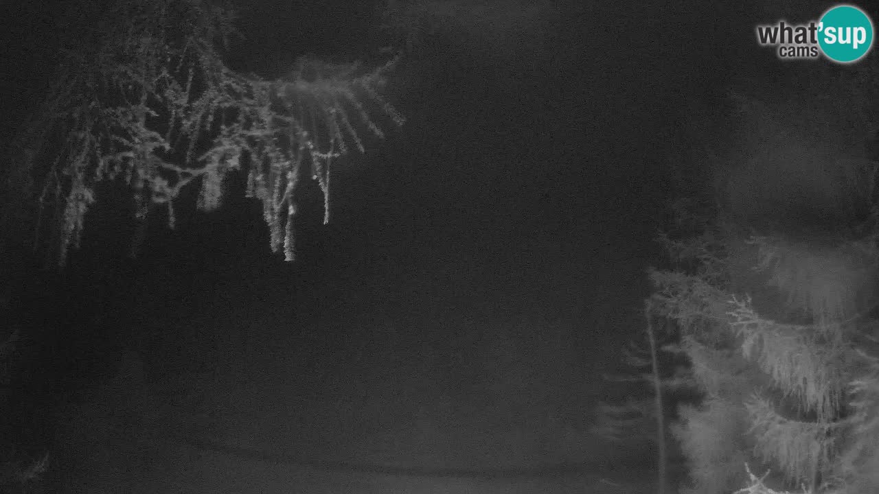 Live webcam Vršič – Erjavčeva house – Slovenia
