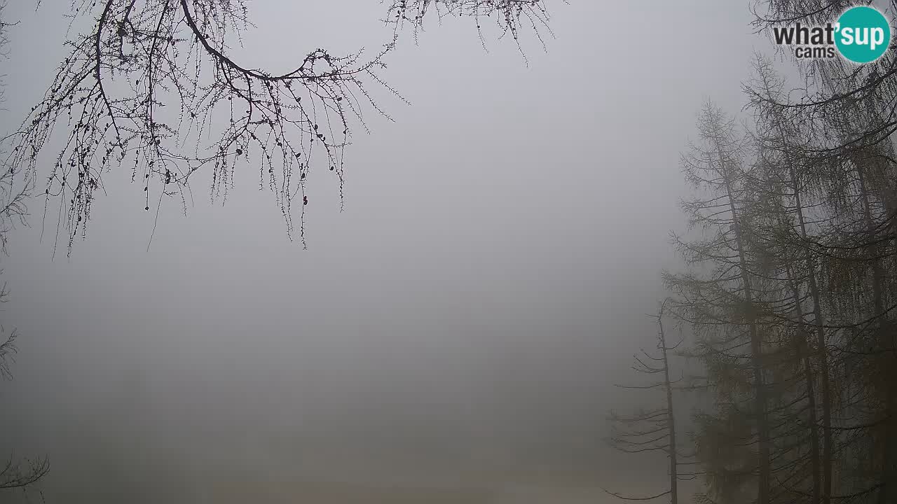 Live webcam Vršič – Baita di montagna Erjavčeva – Slovenia