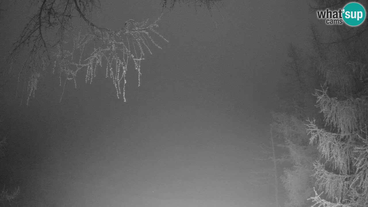 Live Webcam Vršič – Haus Erjavčeva – Slowenien