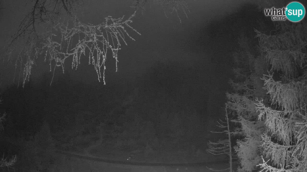 Live Webcam Vršič – Haus Erjavčeva – Slowenien