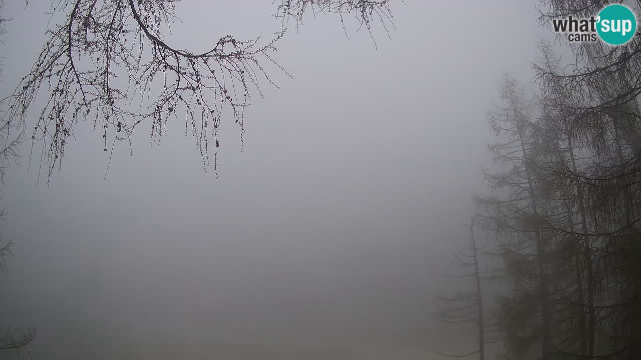 Live webcam Vršič – Erjavčeva house – Slovenia