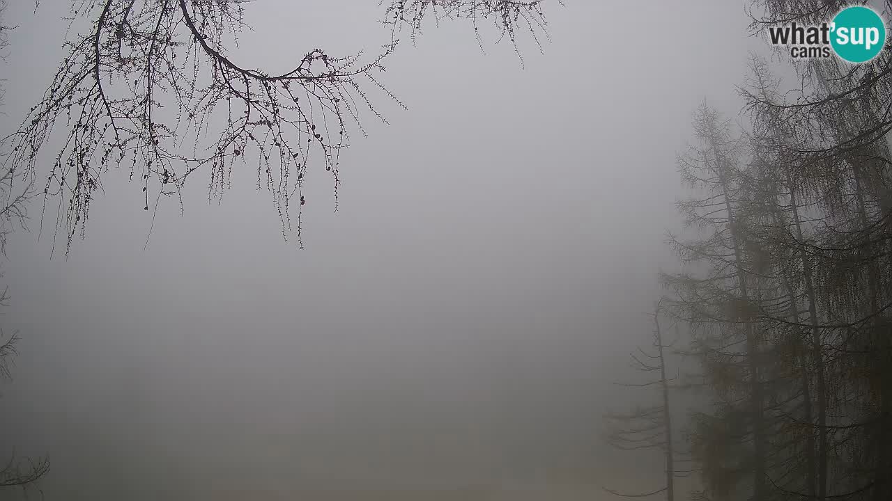 Webcam en direct Vršič – Maison Erjavčeva – Slovénie