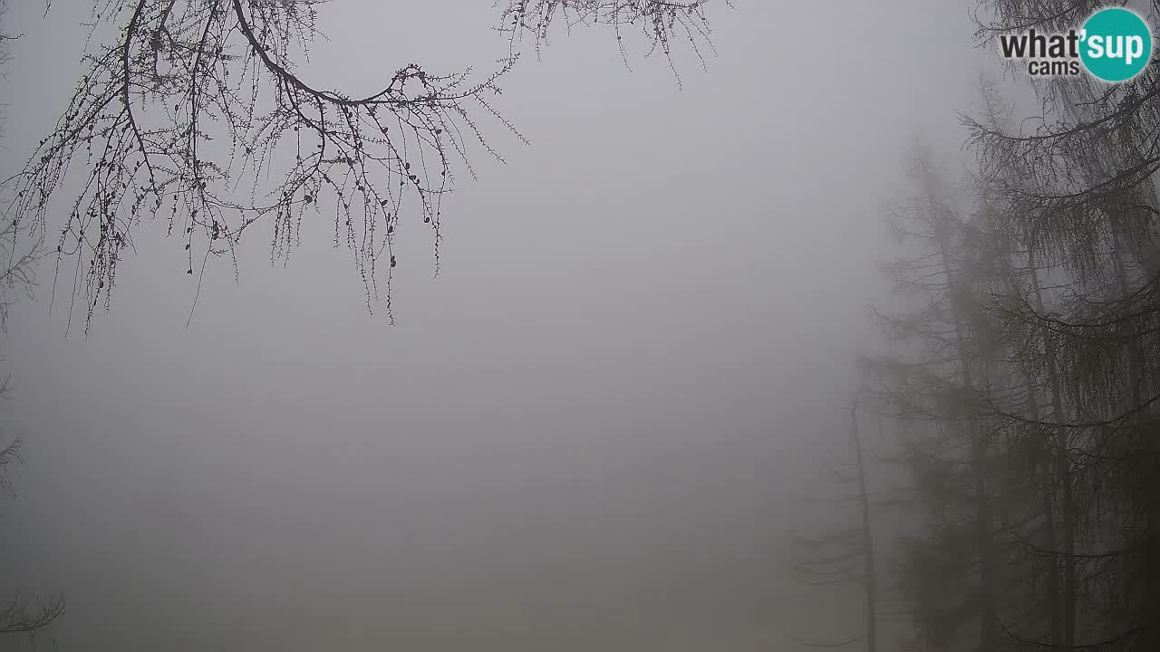Cámara web en vivo Vršič – Casa Erjavčeva – Eslovenia