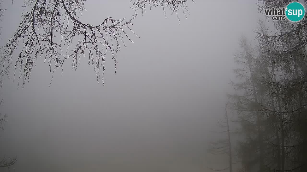 Webcam en direct Vršič – Maison Erjavčeva – Slovénie