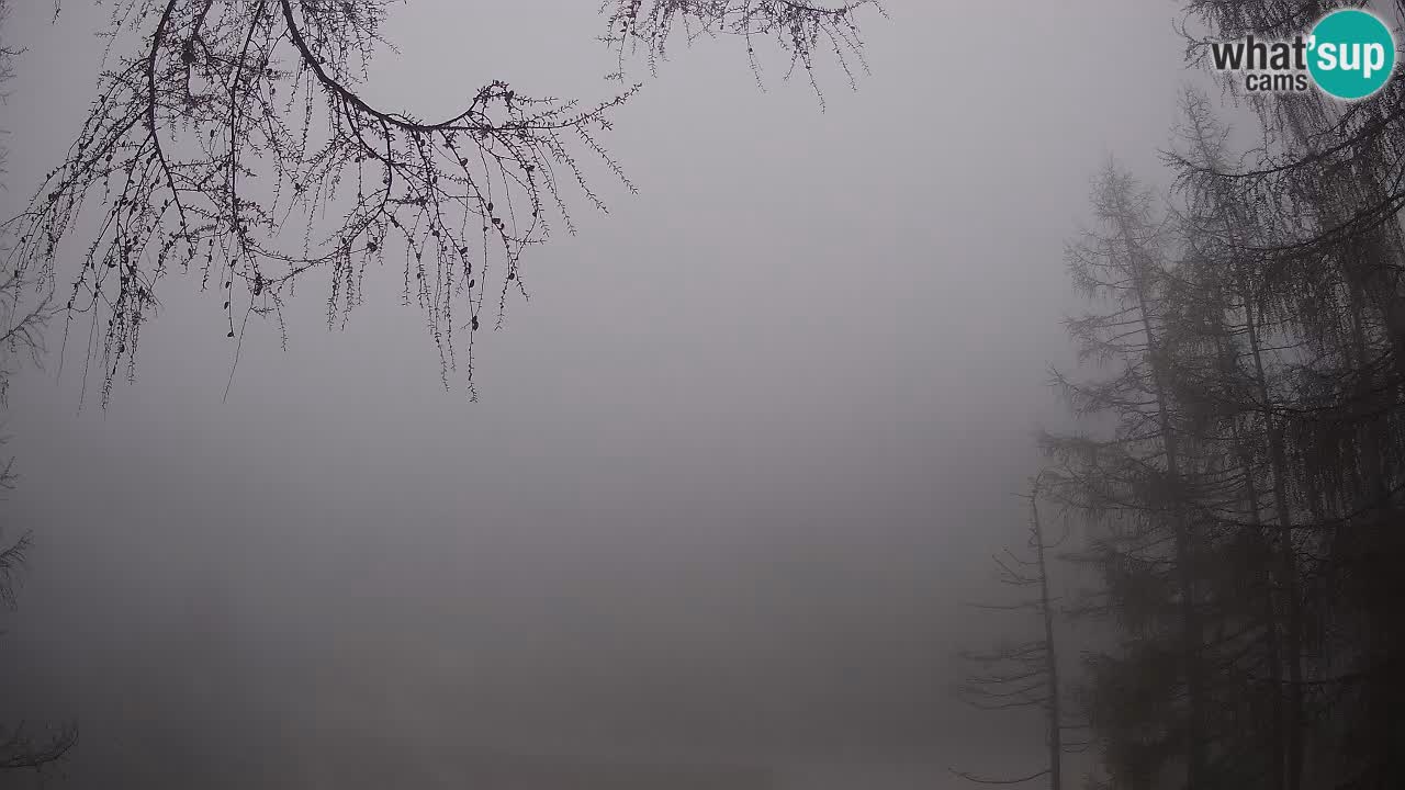 Webcam en direct Vršič – Maison Erjavčeva – Slovénie