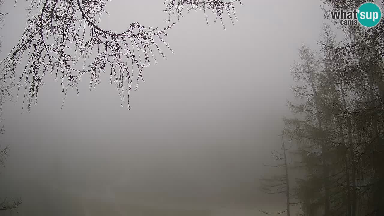 Webcam en direct Vršič – Maison Erjavčeva – Slovénie