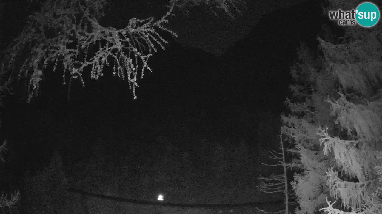 Cámara web en vivo Vršič – Casa Erjavčeva – Eslovenia
