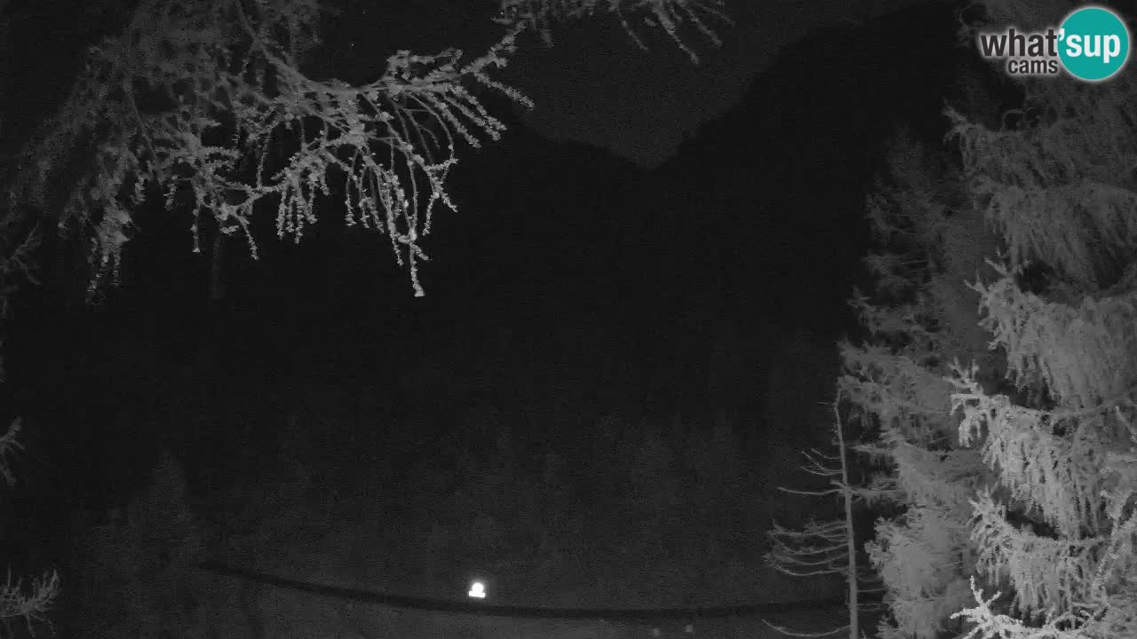 Live Webcam Vršič – Haus Erjavčeva – Slowenien