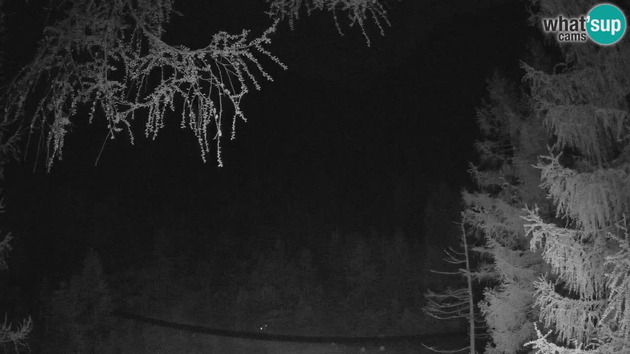 Cámara web en vivo Vršič – Casa Erjavčeva – Eslovenia
