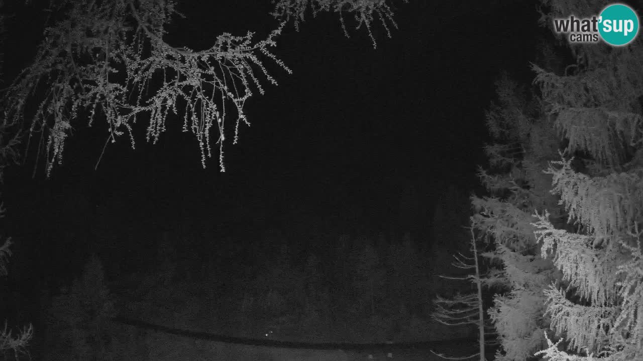 Spletna Kamera Vršič – Erjavčeva hiša – Slovenija