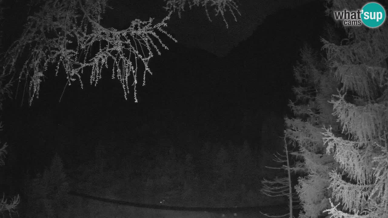 Live webcam Vršič – Erjavčeva house – Slovenia