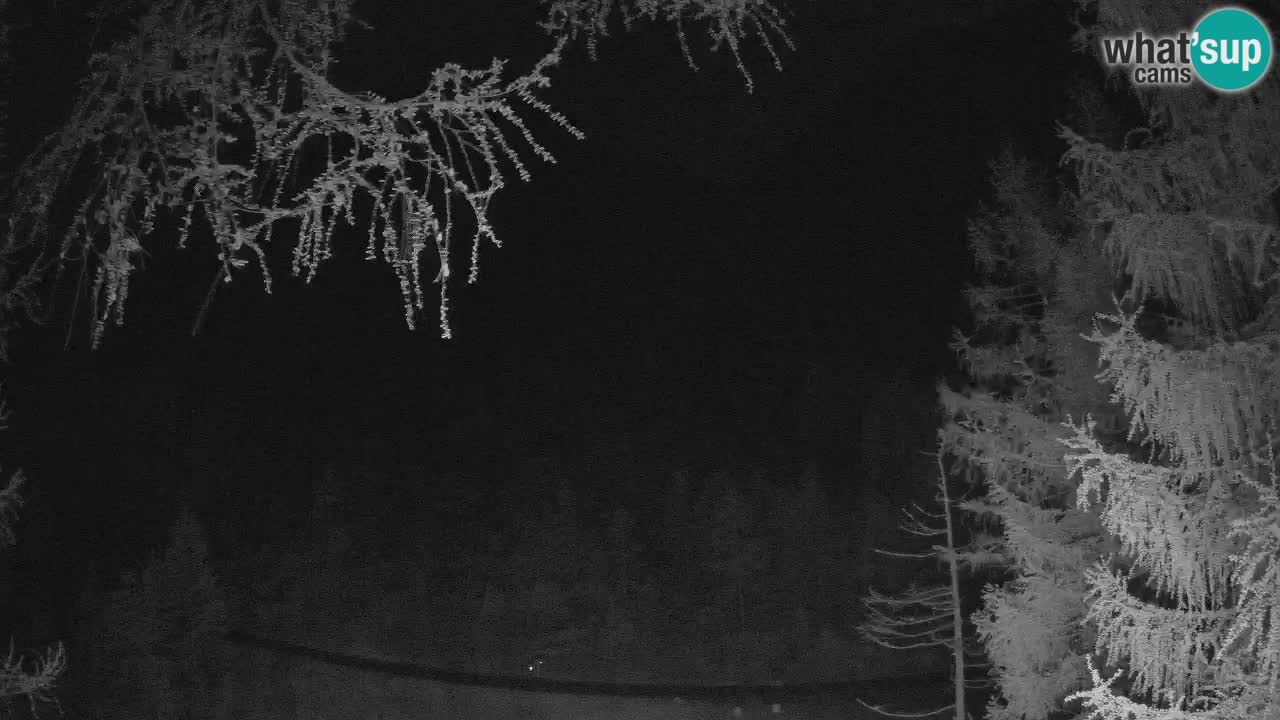 Live webcam Vršič – Baita di montagna Erjavčeva – Slovenia