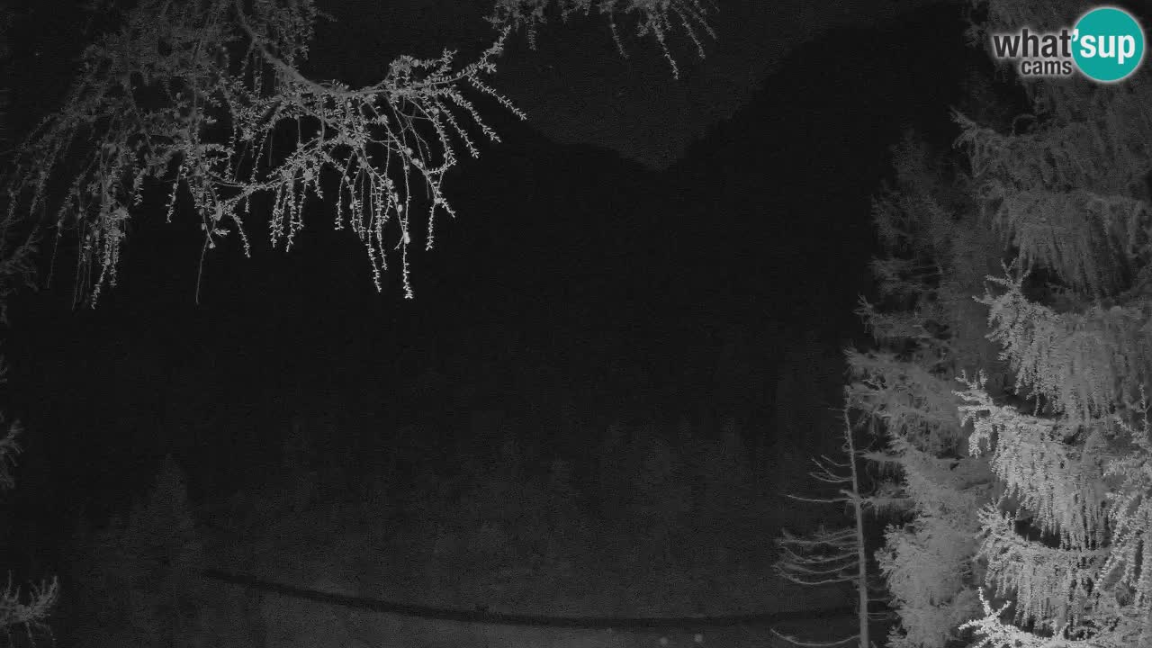 Live webcam Vršič – Baita di montagna Erjavčeva – Slovenia