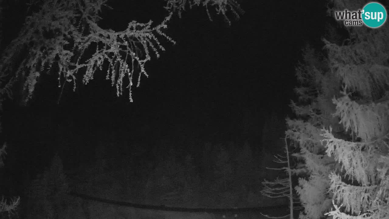 Spletna Kamera Vršič – Erjavčeva hiša – Slovenija