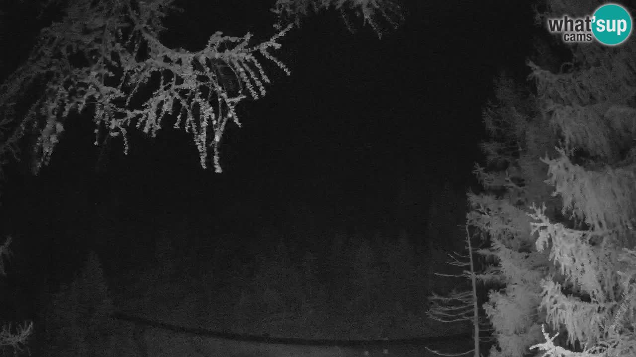 Spletna Kamera Vršič – Erjavčeva hiša – Slovenija