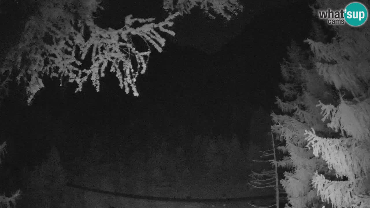 Spletna Kamera Vršič – Erjavčeva hiša – Slovenija