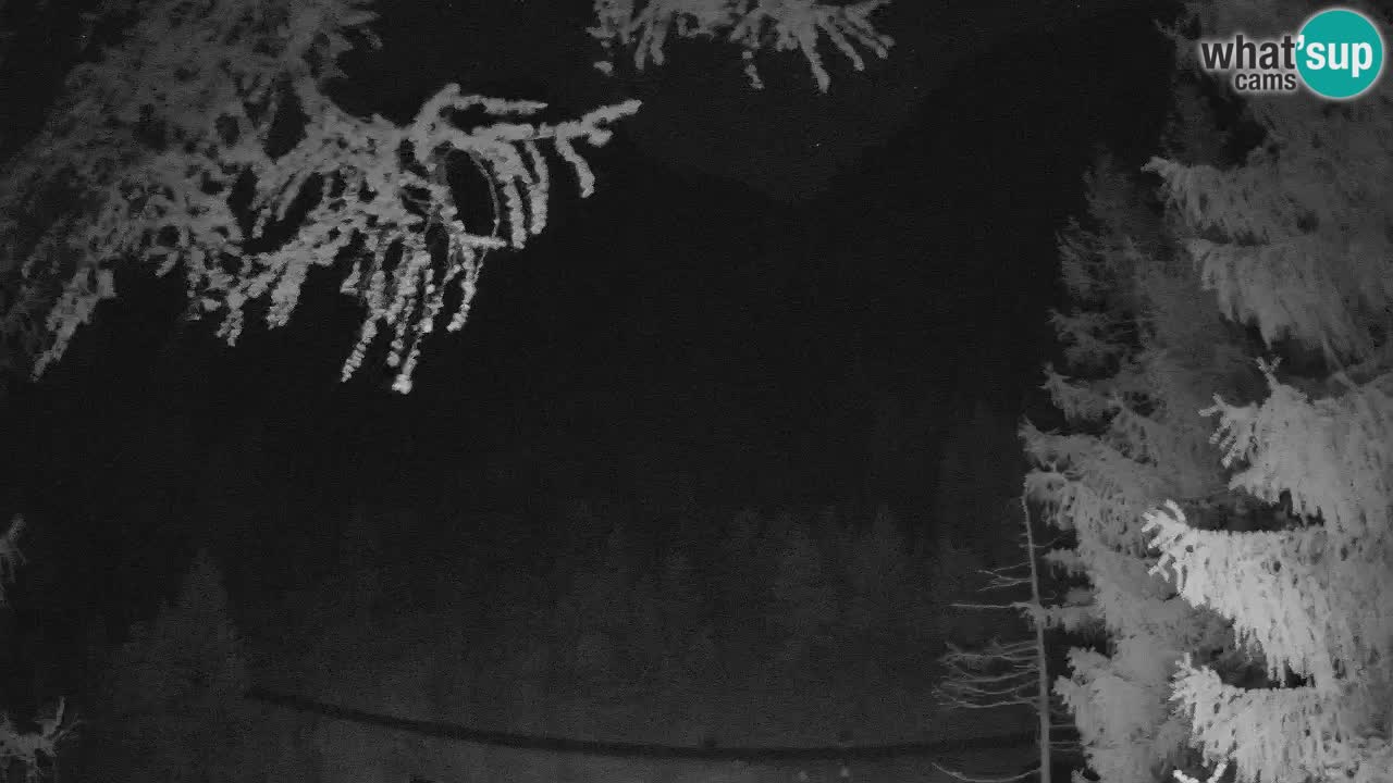 Live webcam Vršič – Erjavčeva house – Slovenia