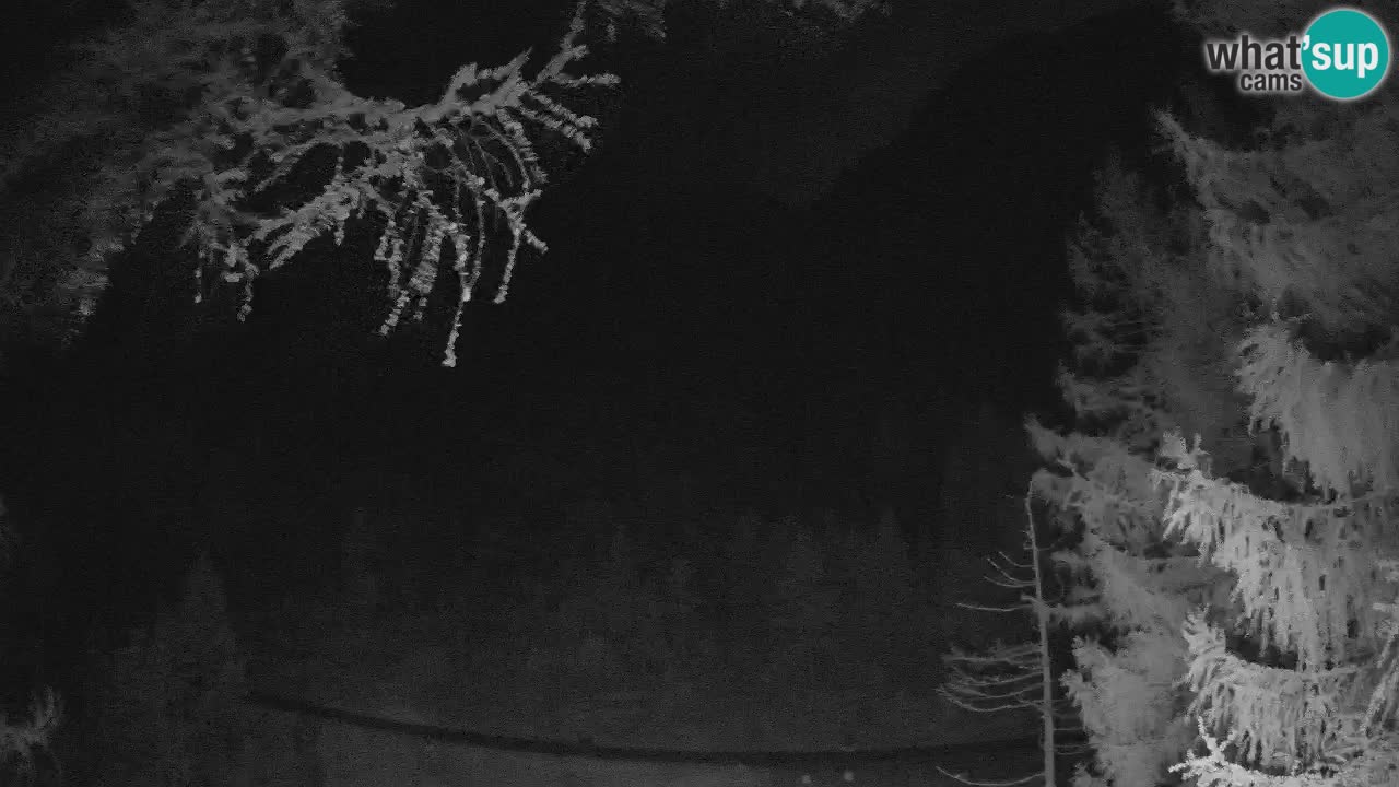 Live Webcam Vršič – Haus Erjavčeva – Slowenien