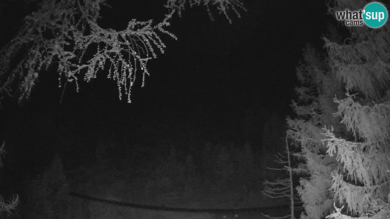 Webcam en direct Vršič – Maison Erjavčeva – Slovénie