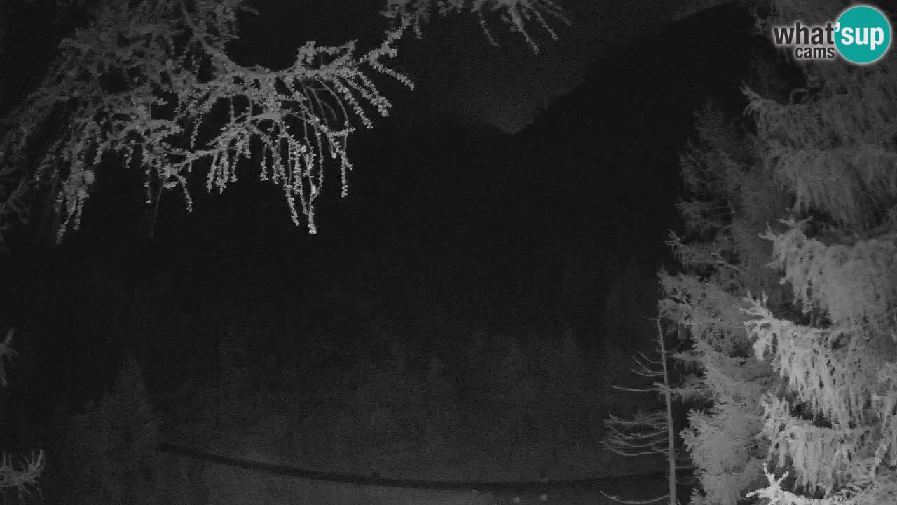 Live webcam Vršič – Erjavčeva house – Slovenia