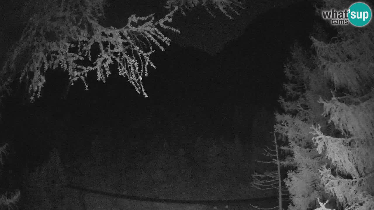 Web kamera Vršič – Erjavčeva kuca – Slovenija