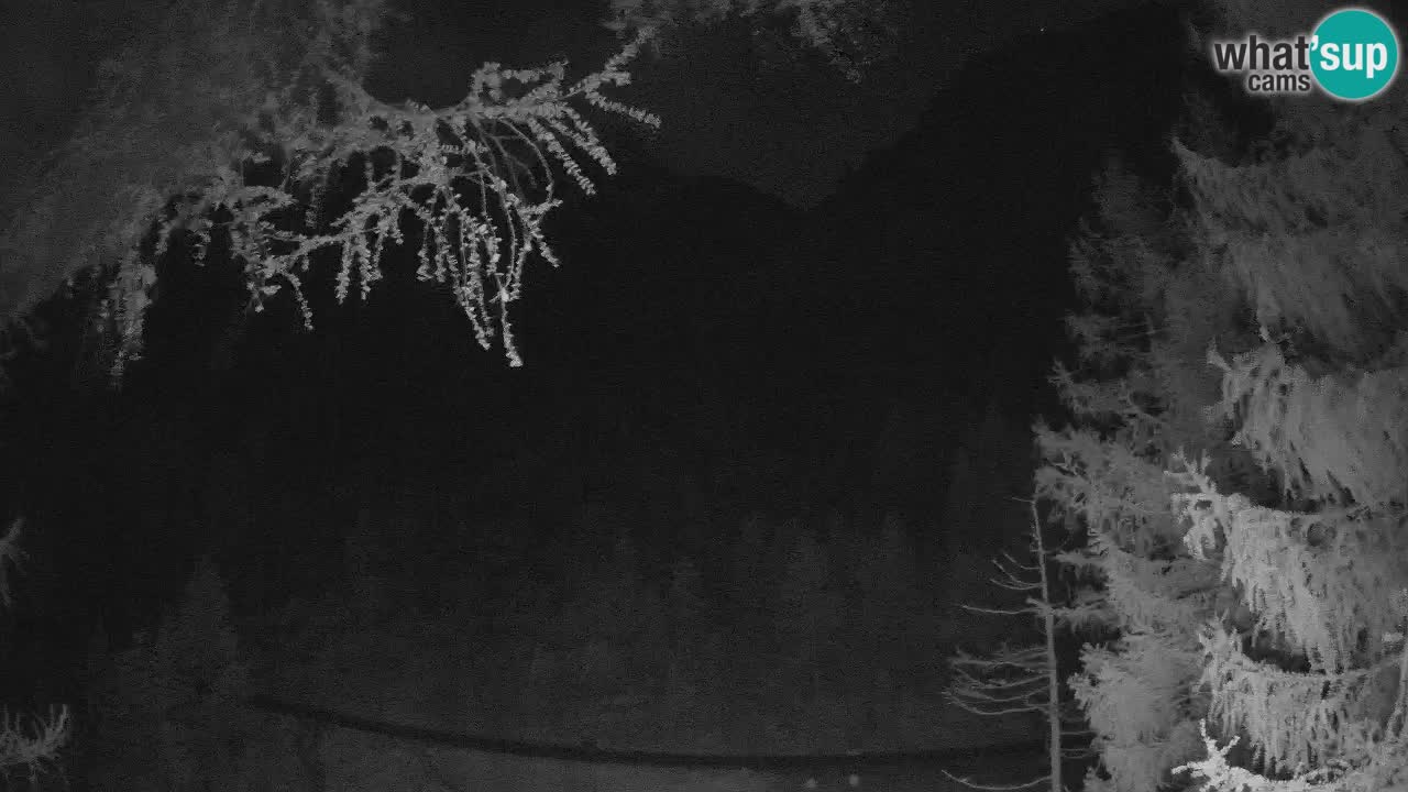 Webcam en direct Vršič – Maison Erjavčeva – Slovénie