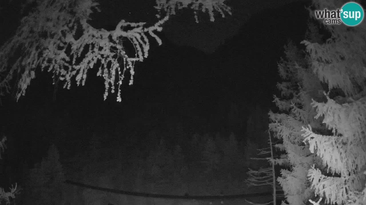 Spletna Kamera Vršič – Erjavčeva hiša – Slovenija