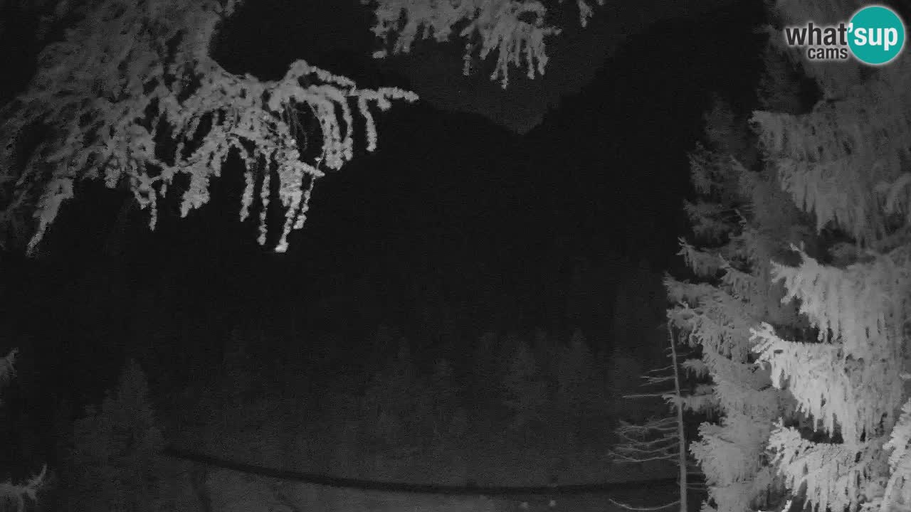 Spletna Kamera Vršič – Erjavčeva hiša – Slovenija