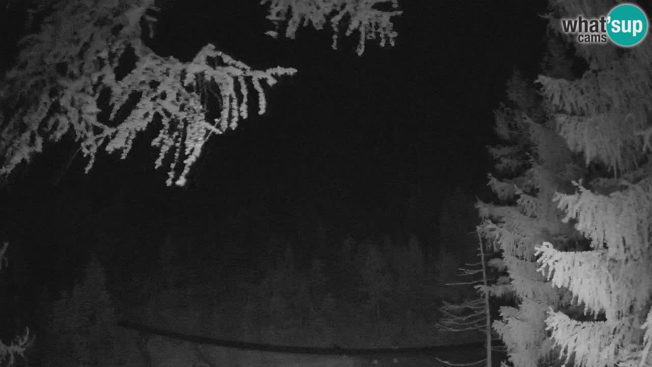 Webcam en direct Vršič – Maison Erjavčeva – Slovénie