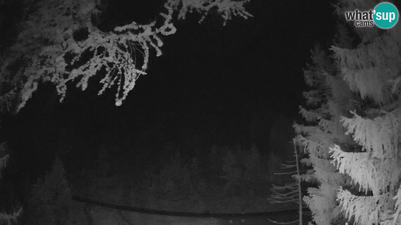 Live Webcam Vršič – Haus Erjavčeva – Slowenien