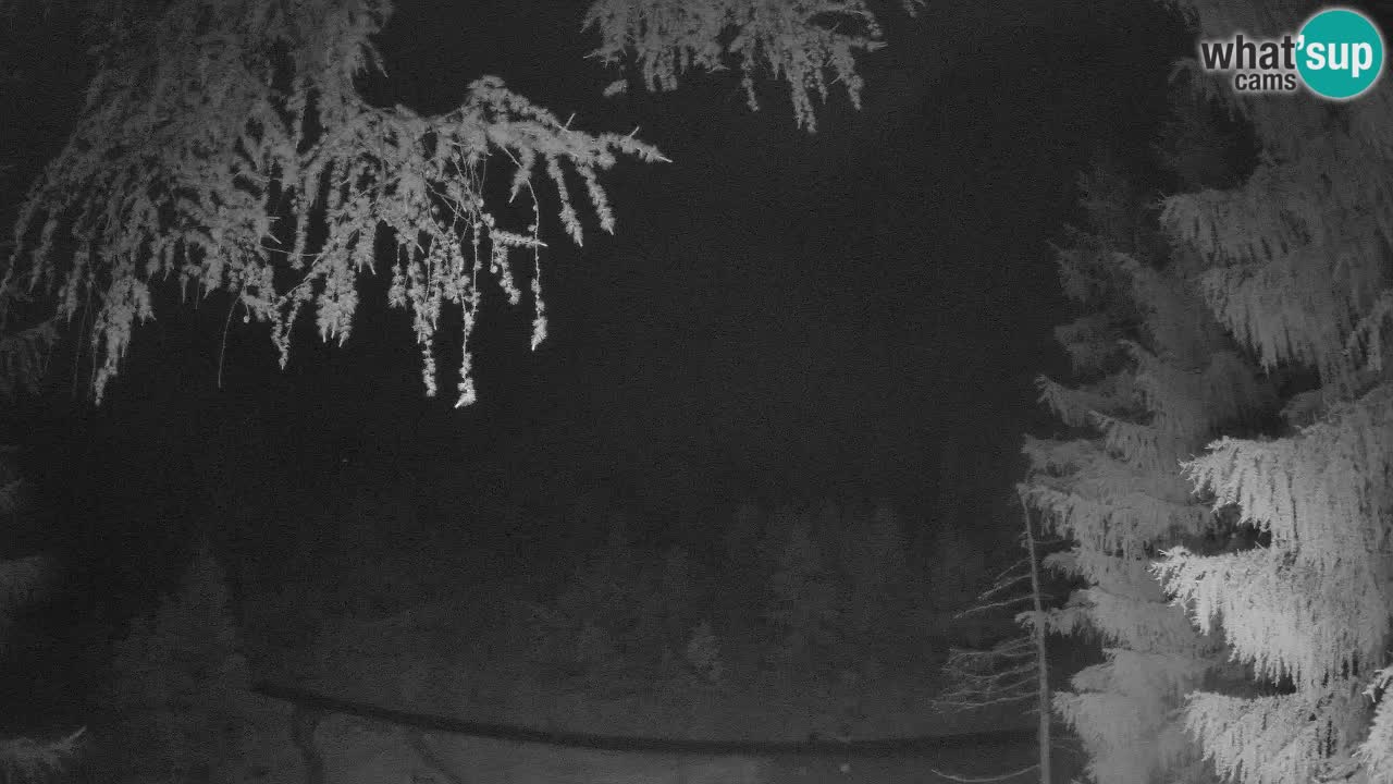 Live webcam Vršič – Erjavčeva house – Slovenia