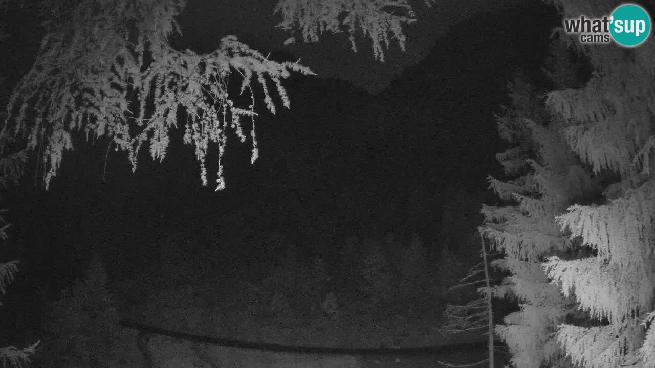 Live Webcam Vršič – Haus Erjavčeva – Slowenien