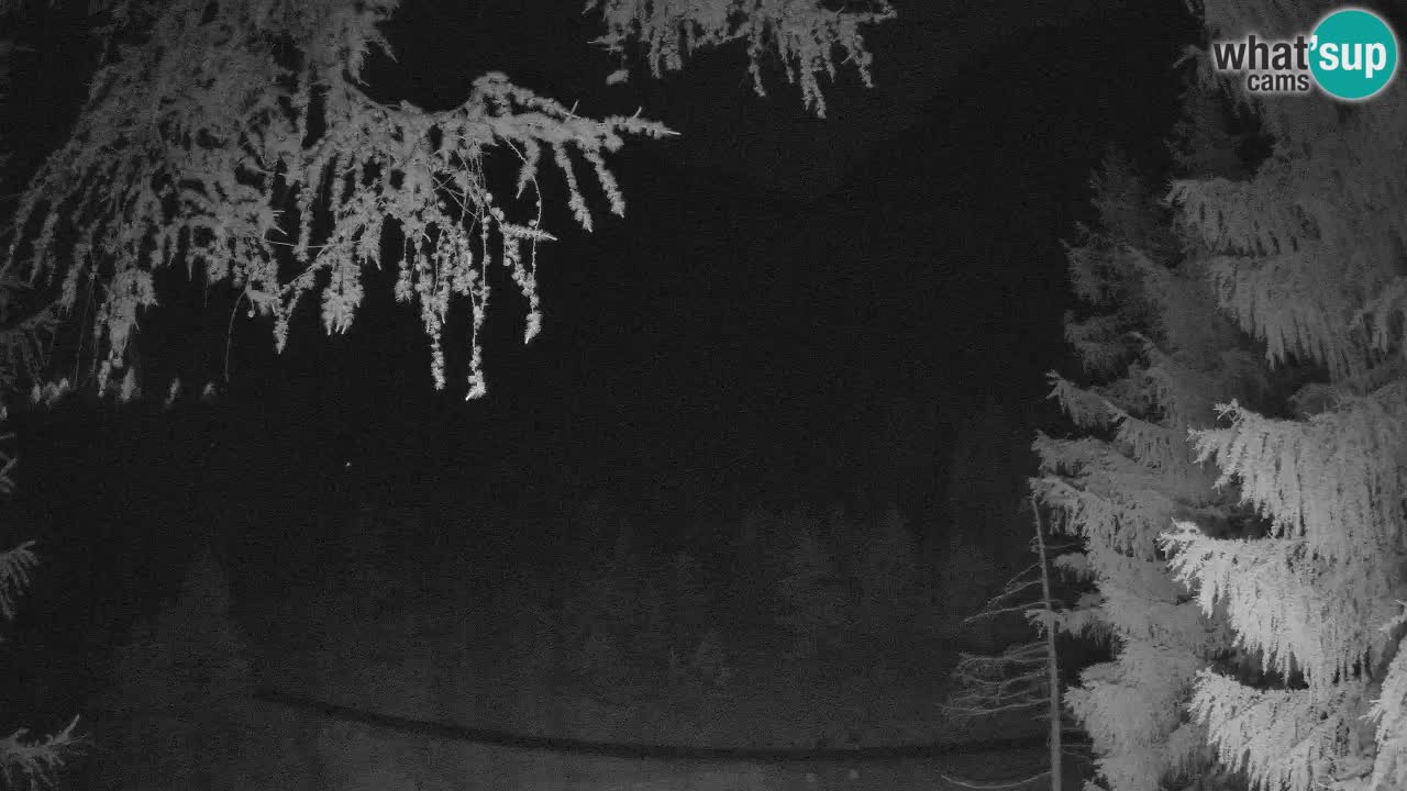 Live webcam Vršič – Erjavčeva house – Slovenia