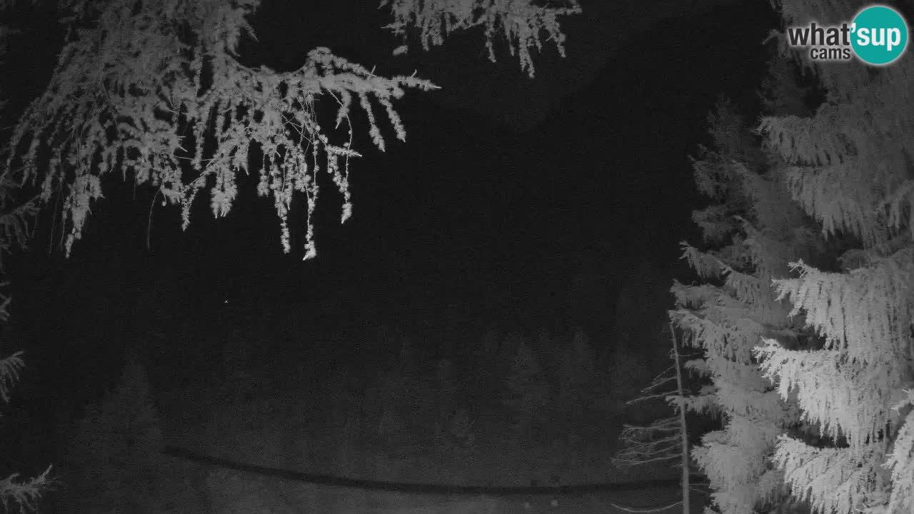 Live webcam Vršič – Erjavčeva house – Slovenia