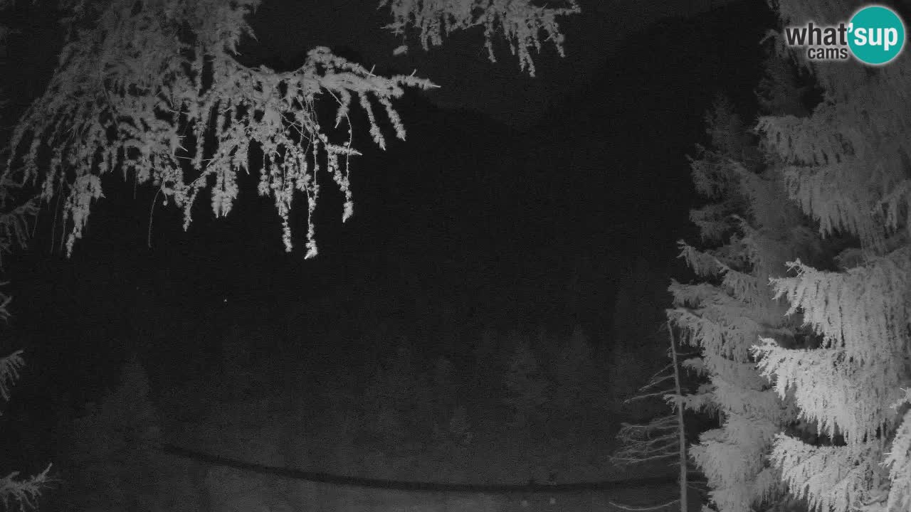 Cámara web en vivo Vršič – Casa Erjavčeva – Eslovenia