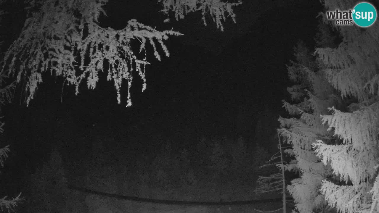 Live webcam Vršič – Baita di montagna Erjavčeva – Slovenia