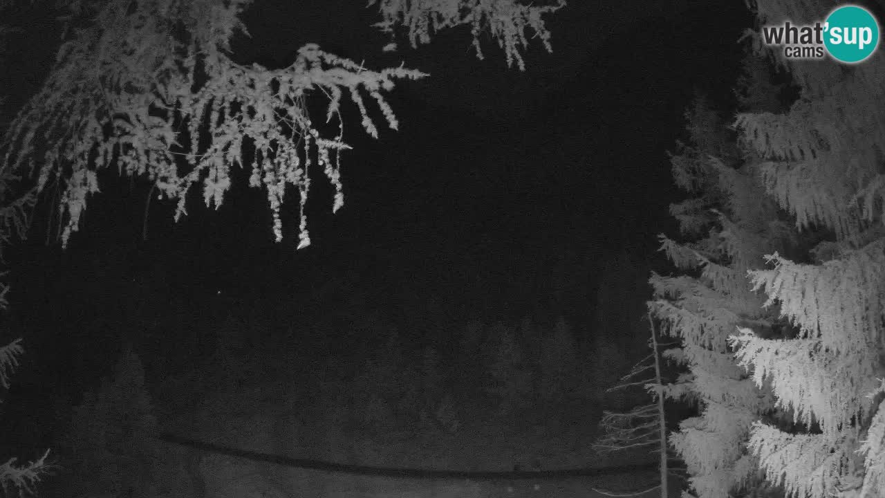 Live Webcam Vršič – Haus Erjavčeva – Slowenien
