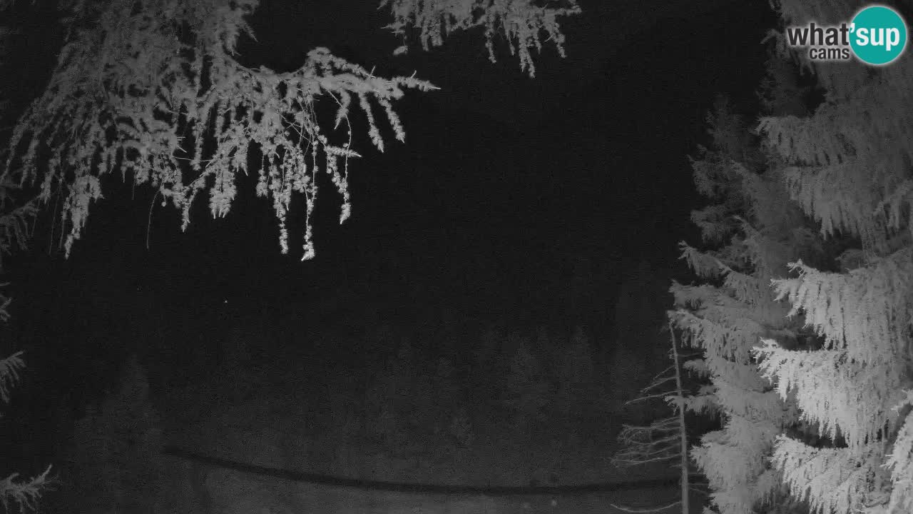 Live webcam Vršič – Erjavčeva house – Slovenia